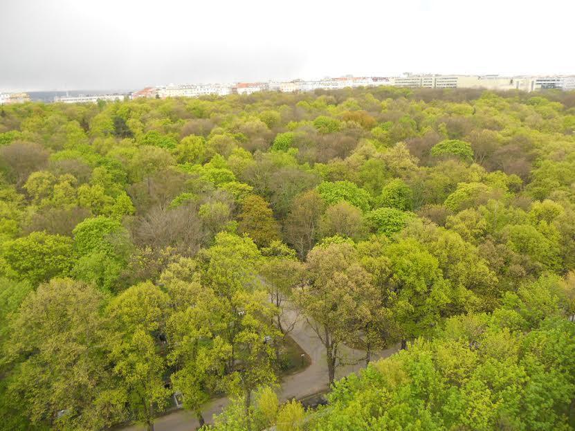 David Garden Towers Apartament *
